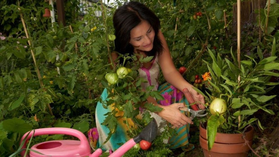 Dr. Ana Moya Gartenarbeit