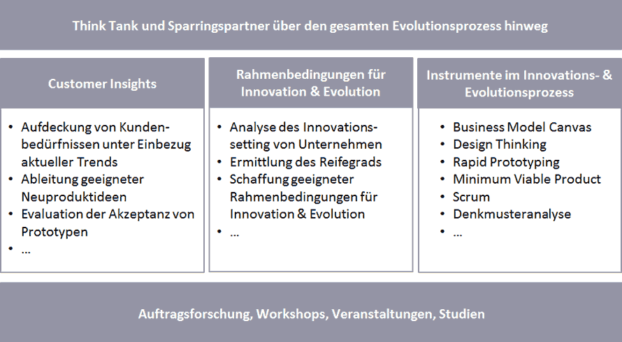 Leistngsangebot - Institut für Business Innovation & Evolution