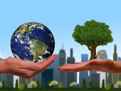 Nachhaltigkeit zwischen Innovation und Regulation