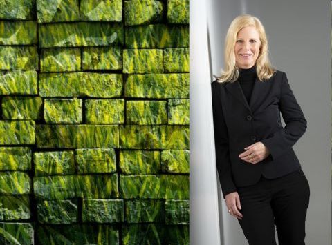 Klimagerecht bauen: zwischen Wunsch und Wirklichkeit - Professor Natascha Schlömer